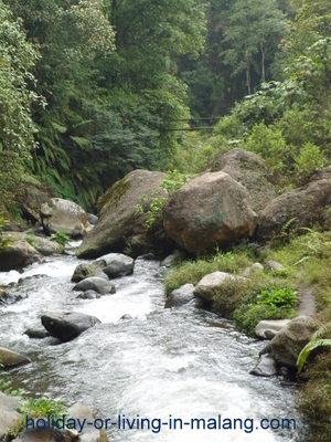 Amprong river from Coban Pelangi in Malang