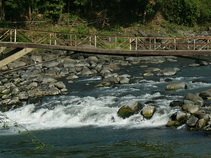 a bridge at Pekalen river